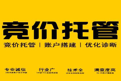 行业领先企业的关键词竞价排名实战案例